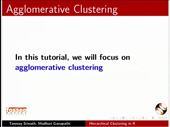 Hierarchical Clustering in R - thumb